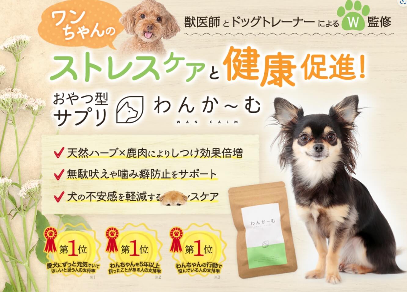 愛犬のしつけに頭を悩ませている飼い主さんへ、素晴らしいニュースがあります。それは「わんかーむ」という革新的なしつけ用おやつです。ここでは、この「わんかーむ」がどのようにして愛犬のしつけをサポートし、同時にワンちゃんのストレスケアにも役立つのか、その秘密を深堀りします。また、購入期間中に利用できる無料相談サービスについても詳しくご紹介します。